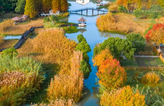 沙家浜風景區日遊門票成人
