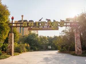 Qingyuan Chimelong Forest Kingdom