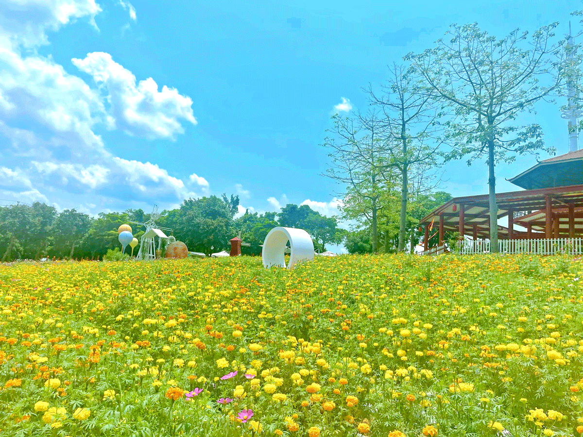 光明農場大觀園