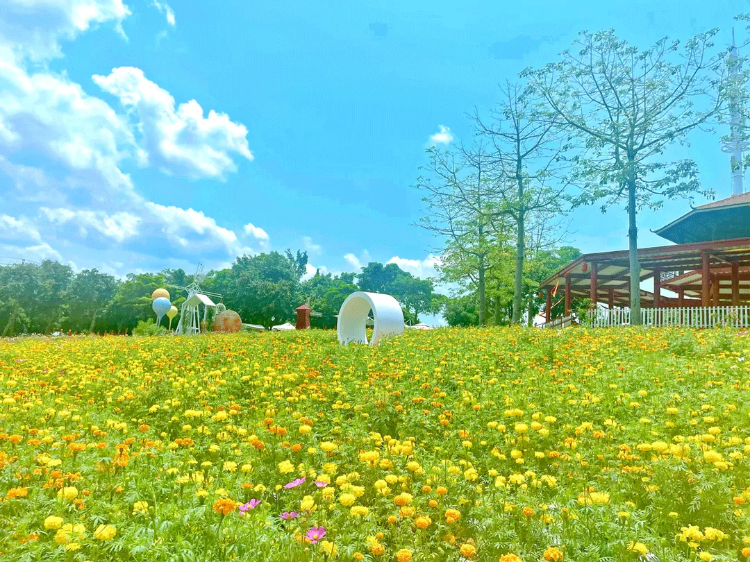 2_光明農場大觀園