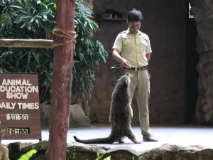 Bali Safari & Marine Park