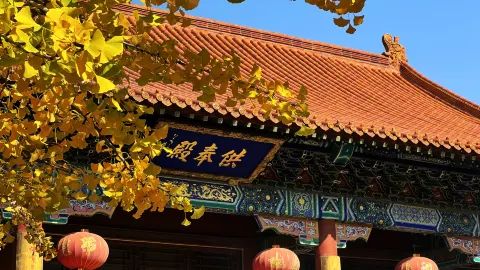 Baoxiang Temple attraction in Jining