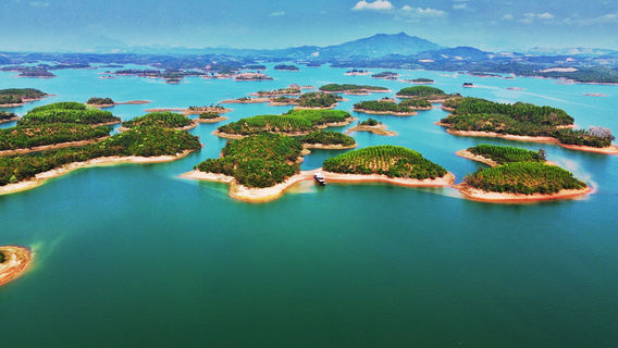 Perfect Journey Travel - Cruises