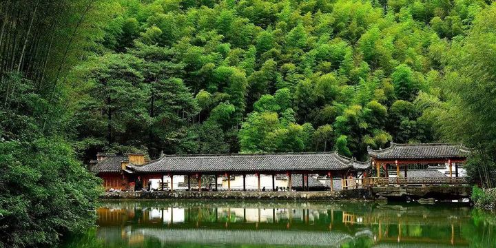 木坑竹海