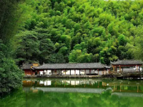 The Mukeng Bamboo Sea