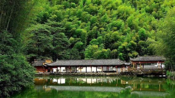 The Mukeng Bamboo Sea
