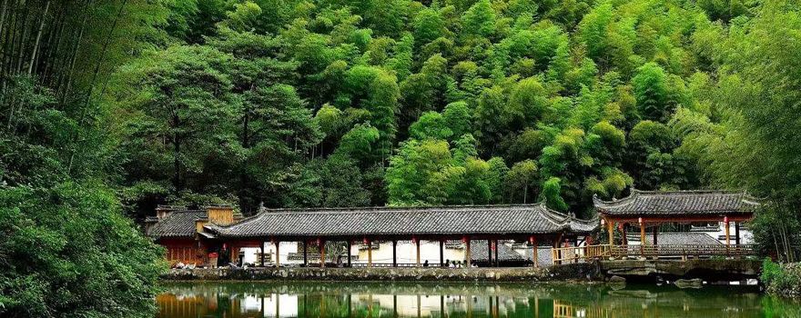 The Mukeng Bamboo Sea