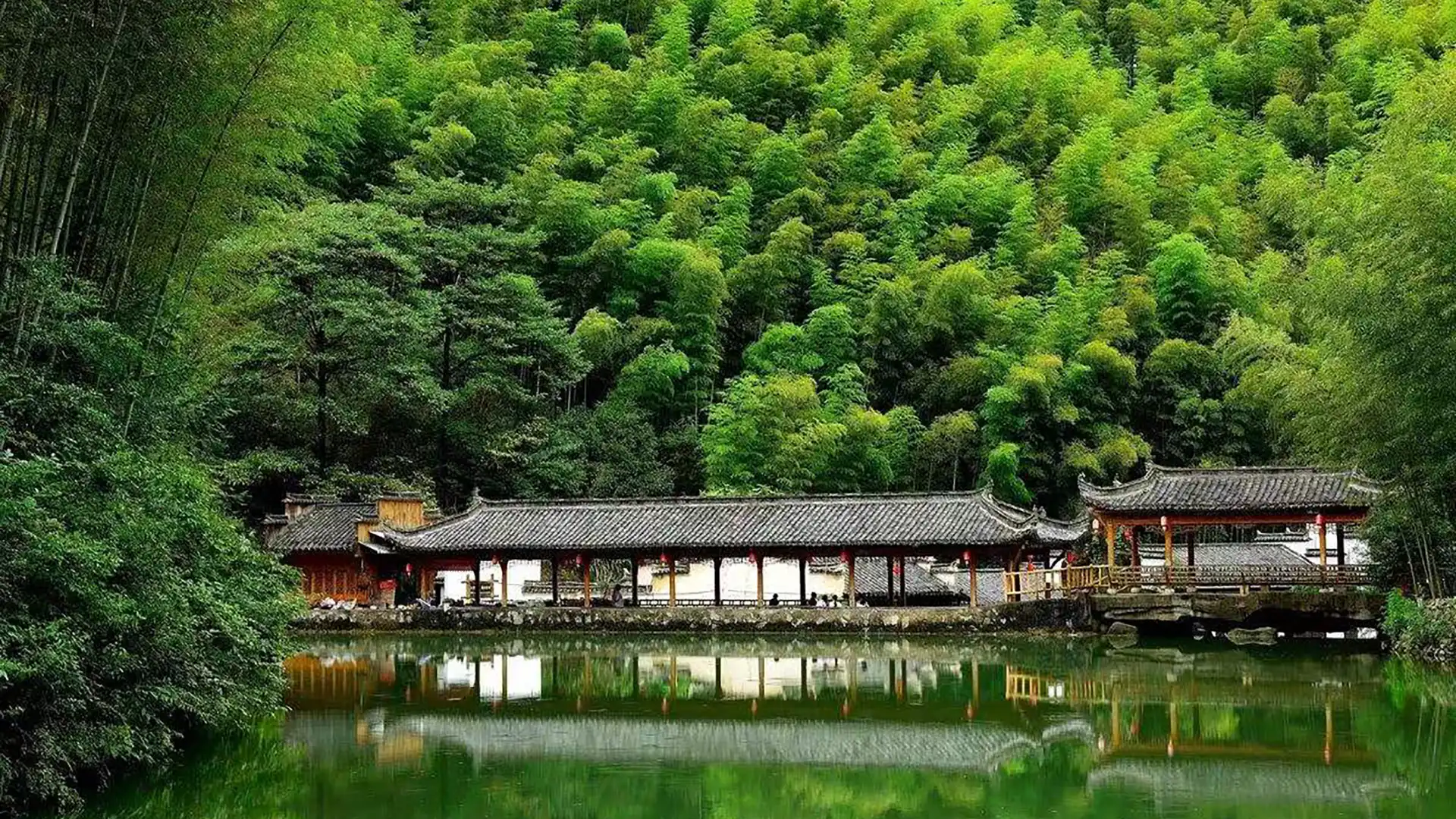 鄰近木坑竹海的酒店