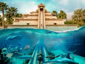Aquaventure Waterpark
