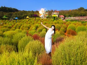 Manhua Sea of Flowers