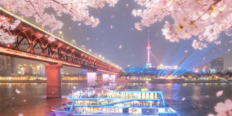 武汉两江游览·夜游长江