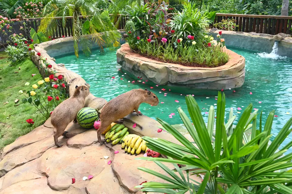 3_海南熱帶野生動植物園