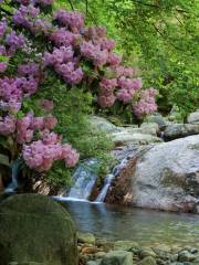 Eighteen Moon Pool Scenic Area