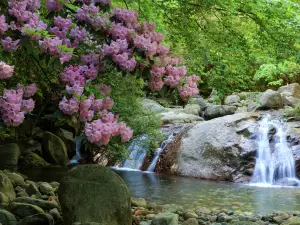 Eighteen Moon Pool Scenic Area