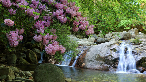 Eighteen Moon Lake Scenic Area