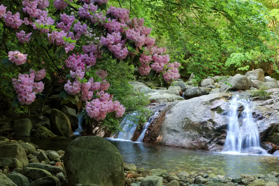 Eighteen Moon Pool Scenic Area