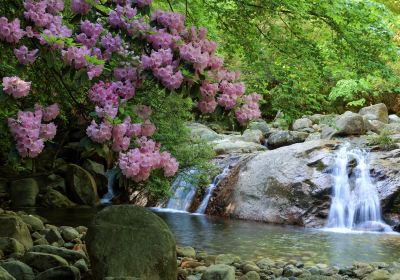 Eighteen Moon Pool Scenic Area