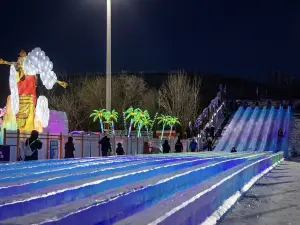 올림픽 스포츠센터 빙설 카니발