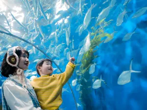 上海海洋水族館