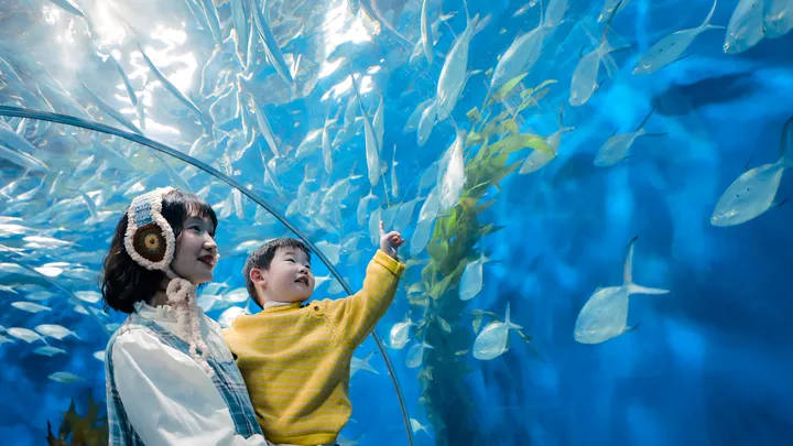3_上海海洋水族館