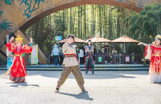 天目湖南山竹海景區門票+雙程（熊貓地軌+架空索道）成人