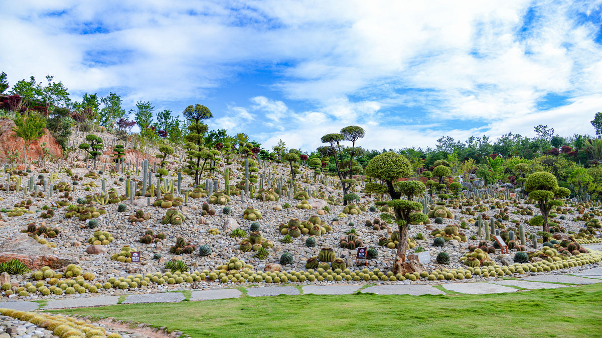 Taiping Lake International Ecotourism Resort