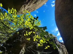 Zibo Lushan National Forest Park