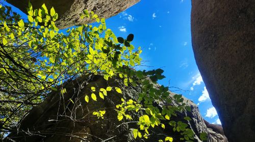 Lushan National Forest Park