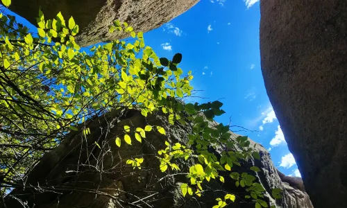 สวนสาธารณะแห่งชาติลูซาน