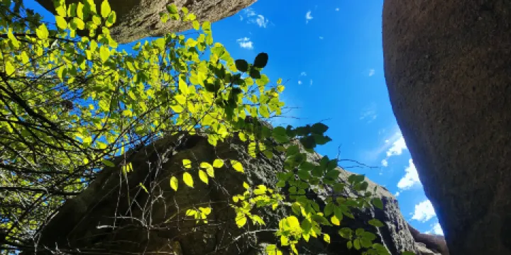 魯山國家森林公園