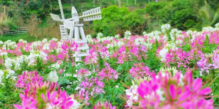 夢幻香山旅遊區