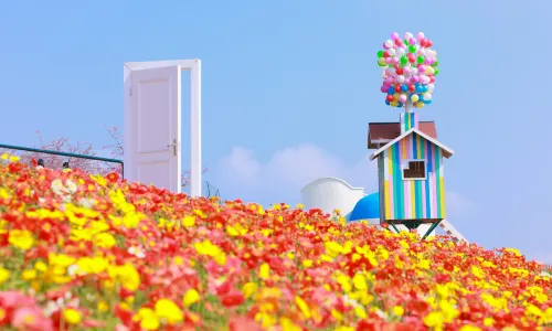 Manhua Sea of Flowers