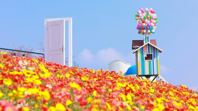 Manhua Sea of Flowers