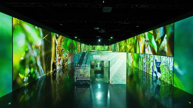 Arte Museum, Chengdu