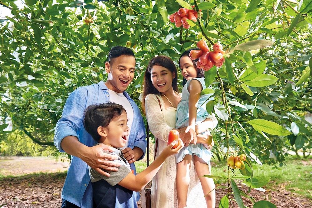 Desaru Fruit Farm