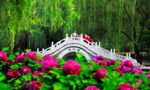 隋唐城遺跡植物園
