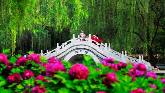 Sui and Tang Dynasty Town Botanic Gardens