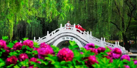 隋唐城遺址植物園