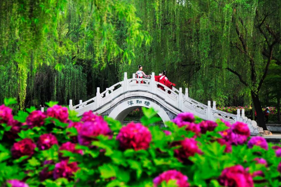 隋唐城遺址植物園