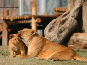 Lanzhou Wildlife Park