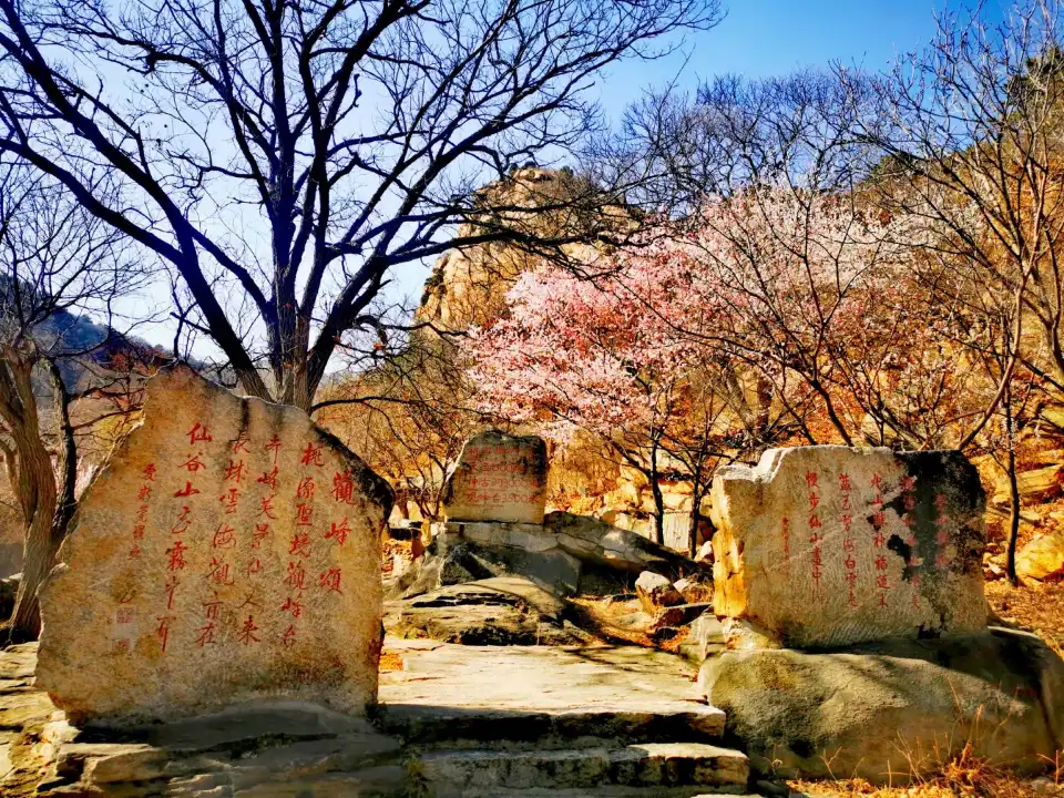 3_Taoyuan Xiangu Natural Scenic Area