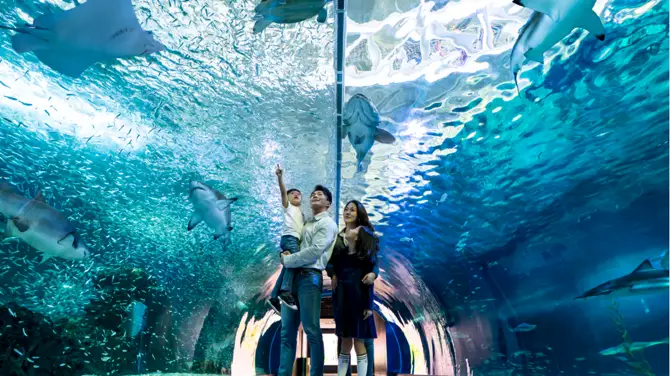 5_Aqua Planet Jeju