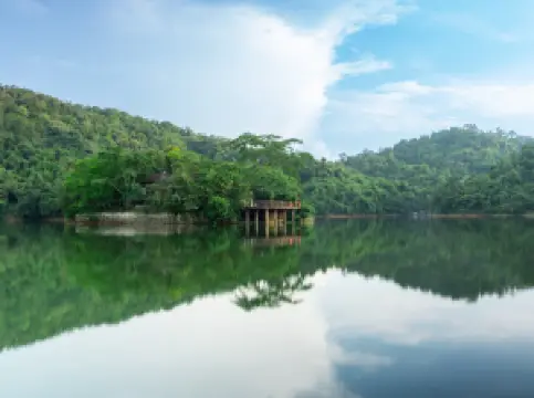 กิจกรรมในฤดูใบไม้ผลิยอดนิยมในเป่าถิง