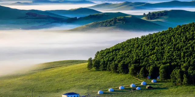 縁頭、山金地に茸の里図、 縁頭、山金地に茸の里図、 日本刀の縁頭｜蔦