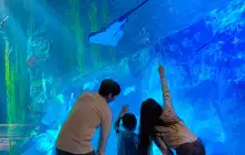 Lotte World Aquarium
