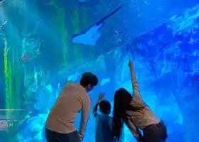 樂天世界水族館