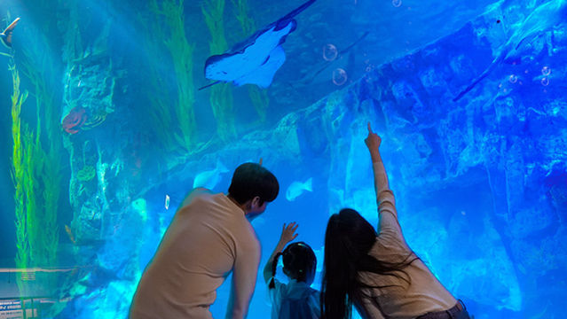 Lotte World Aquarium