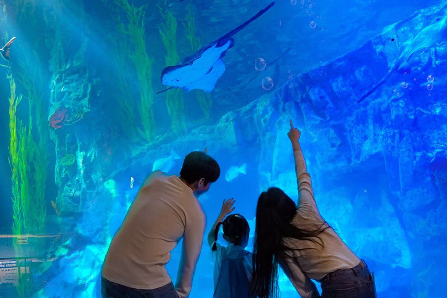 樂天世界水族館