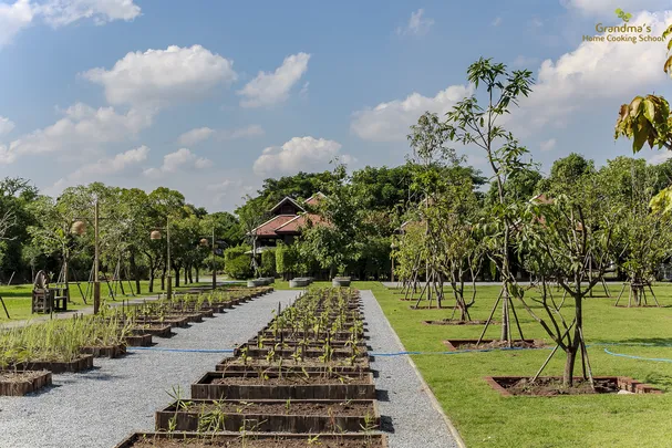 3_grandma's home cooking school