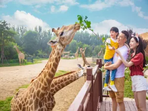 All Love Park Animal Kingdom